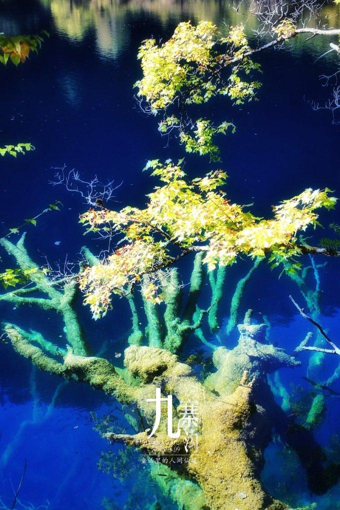 邯郸峰峰矿区:“小院课堂”助力和美乡村建设
