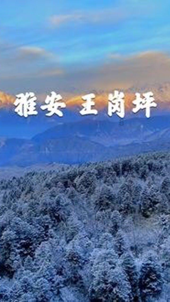 逃离海岛村