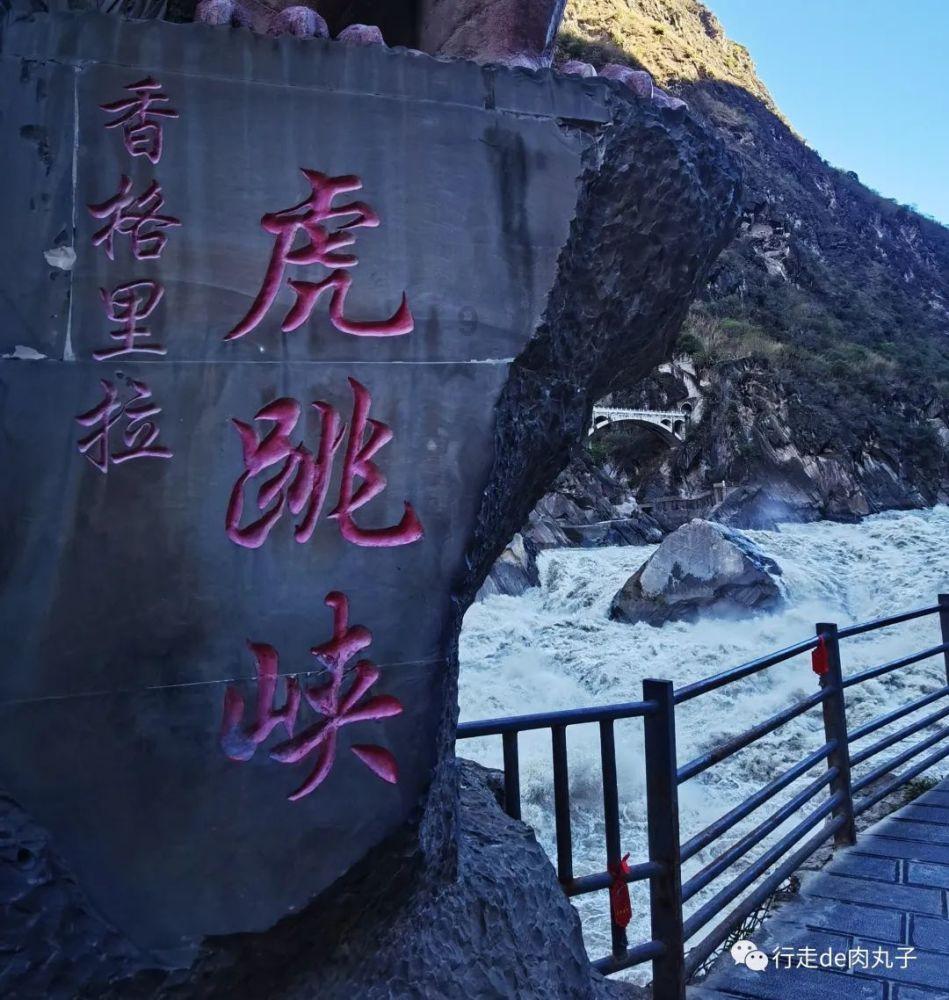 合金装备崛起复仇