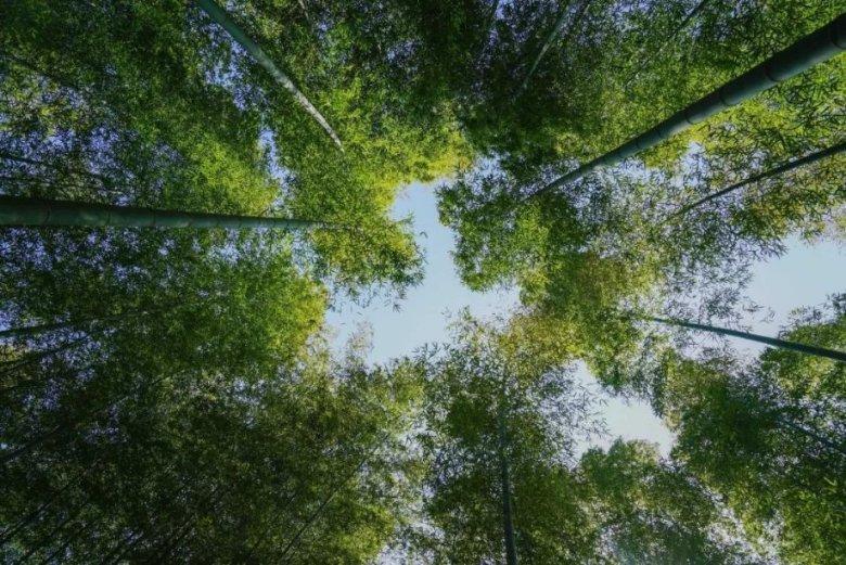 探索qq显示手机号存在风险怎么办?,加入知识星球