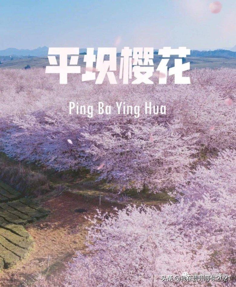 达拉斯FC主席:梅西是历史最佳之一,现在年轻人也愿意来美职联