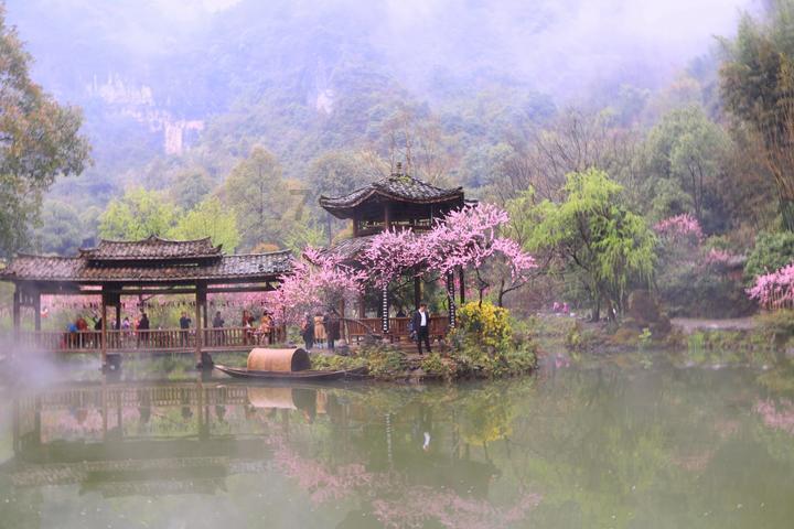 逃离痛苦的房子2