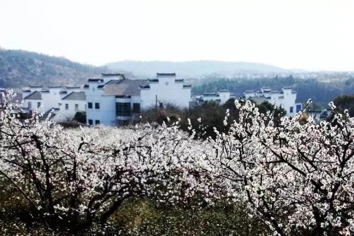 拯救精灵的土地5