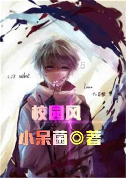 狗狗物品记忆卡