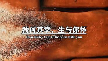 逗小猴开心系列189