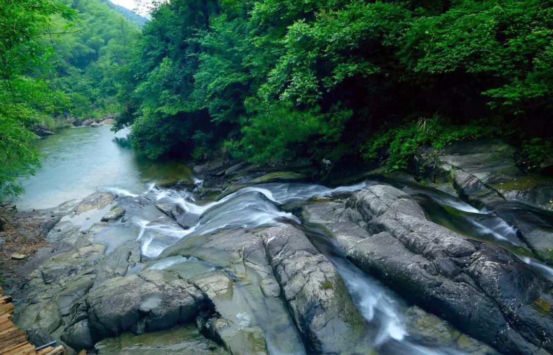 逃出猫头鹰岛