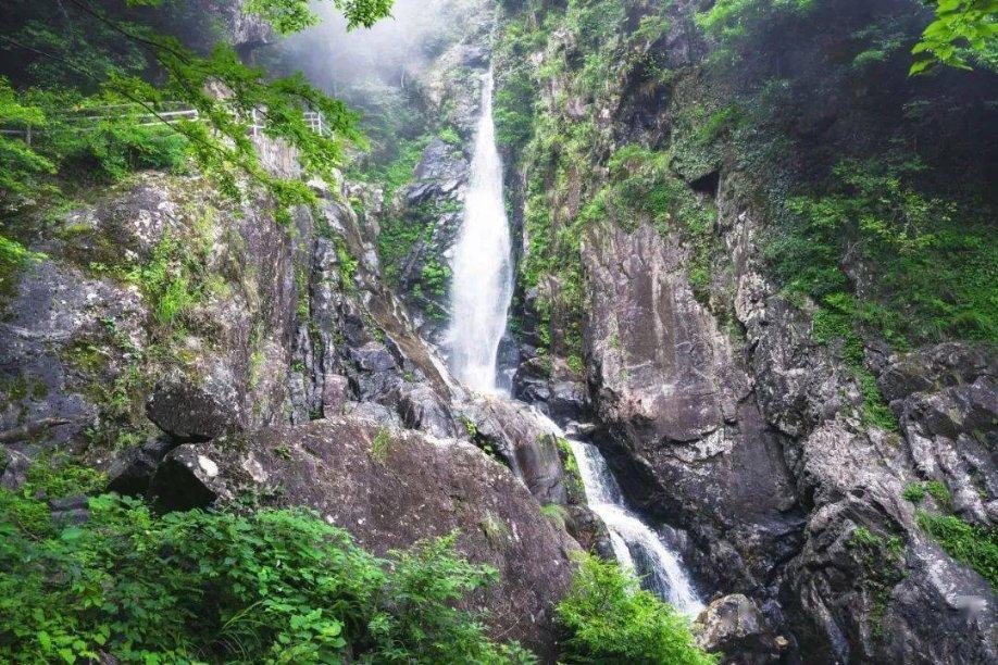 扎导新片《月球叛军》,烂番茄仅24%,为何却能登顶网飞前10?