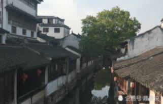 逃离整洁的庭院