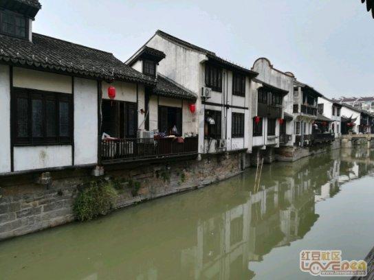大唐辣妈淋巴养生:守护人体健康的隐秘防线