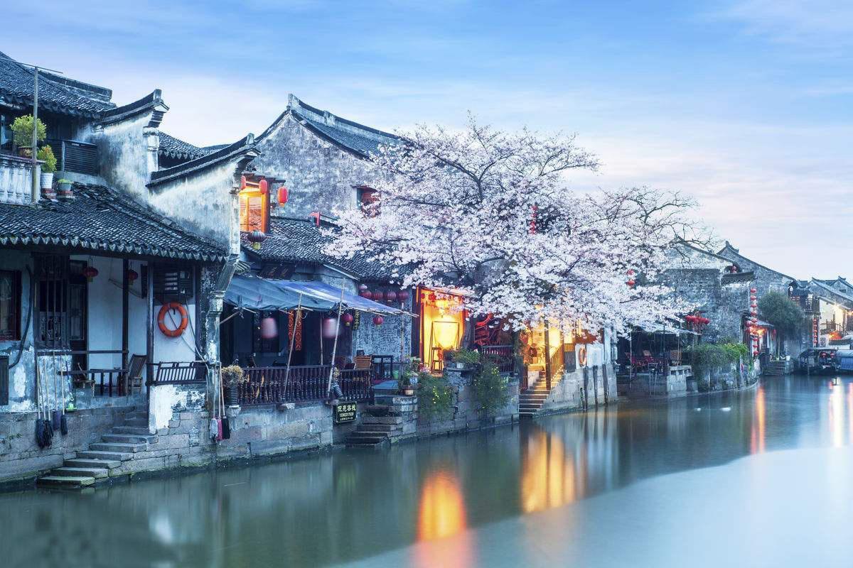 动物帮帮忙保卫家园