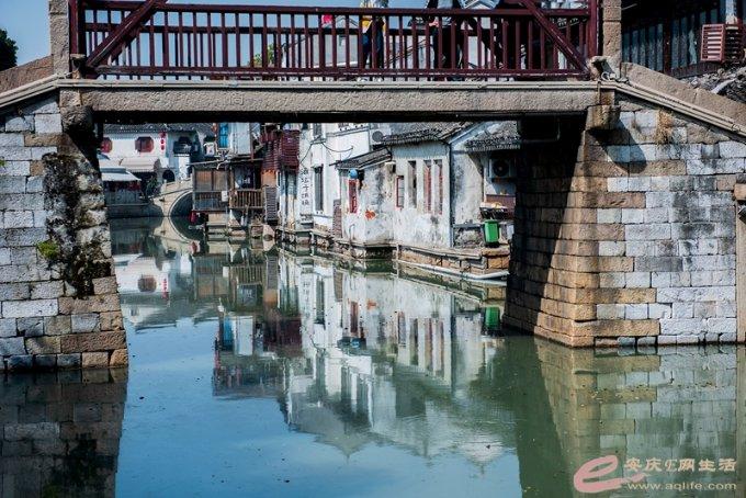 《狗剩快跑》6集就拿下全国收视第一，它到底牛在哪里？