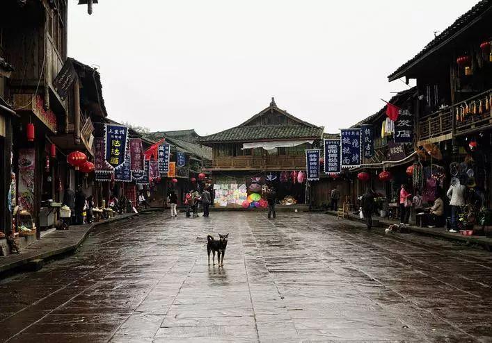 春雨直播app