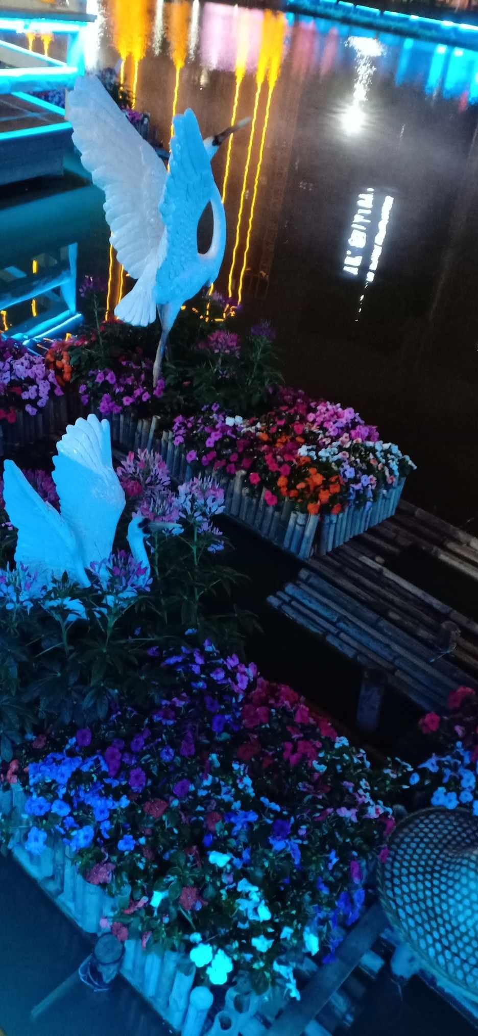 智慧蜗牛问答-专业解答 如今老年人的福利待遇都有哪些?
